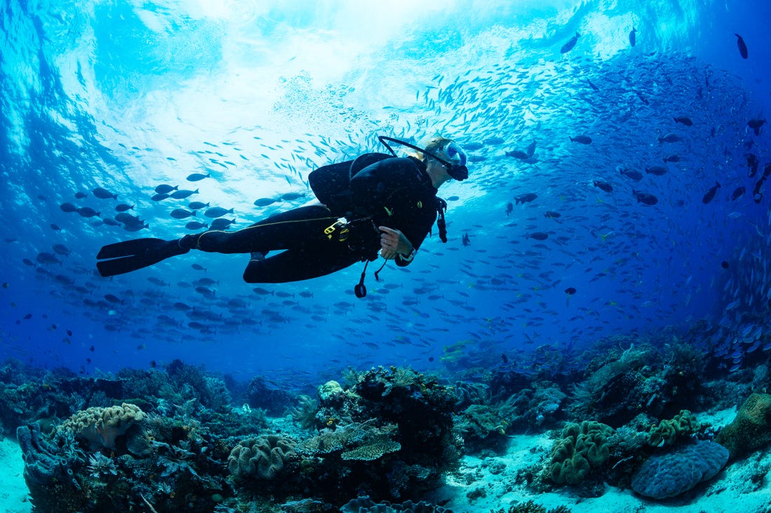 PADI Advanced Open Water Diver - Scuba Diving Course Bundaberg