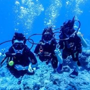 Scuba Diving Courses in Bargara & Bundaberg