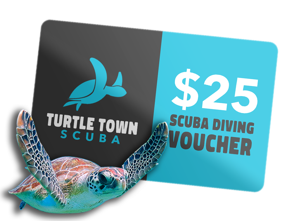 Free $25 Scuba Diving Voucher