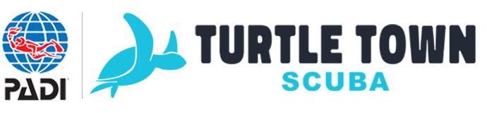 Turtle Town Scuba