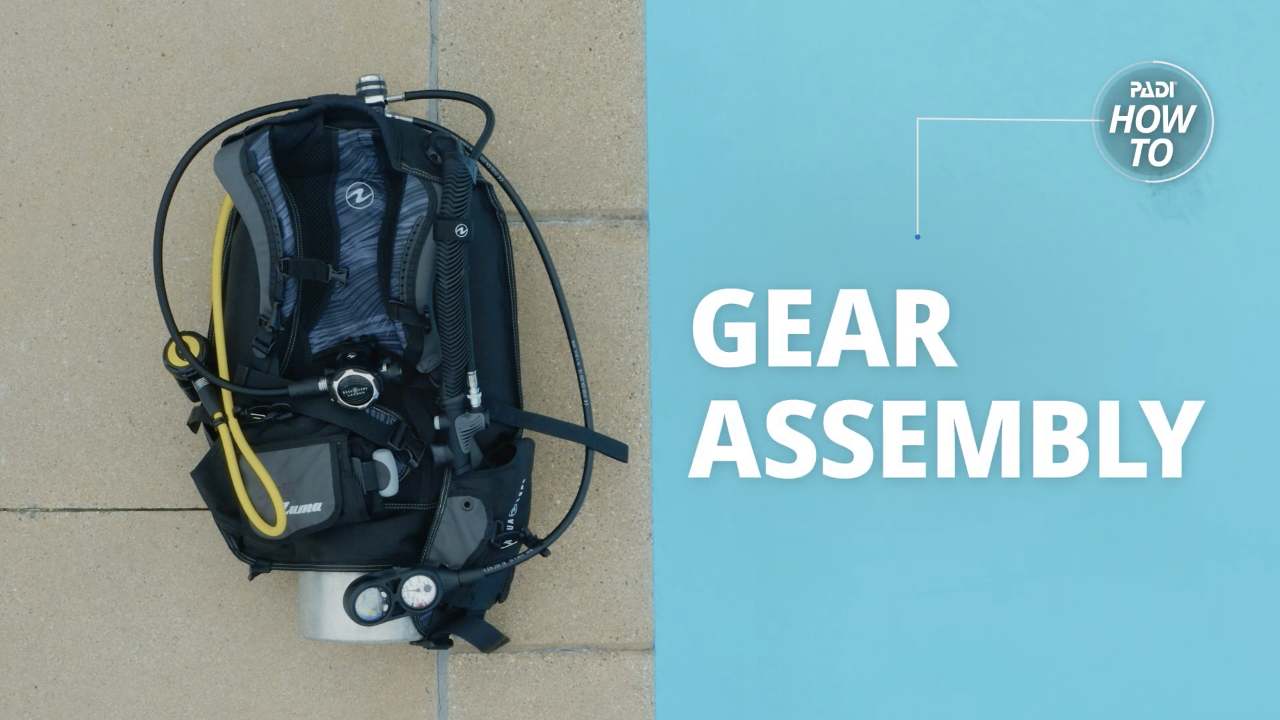 Scuba Gear Assembly How-To Video